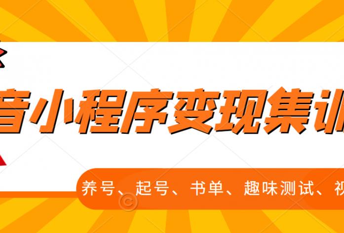 抖音小程序变现集训课，养号、起号、书单、趣味测试、视频剪辑，全套流程-主题库网创