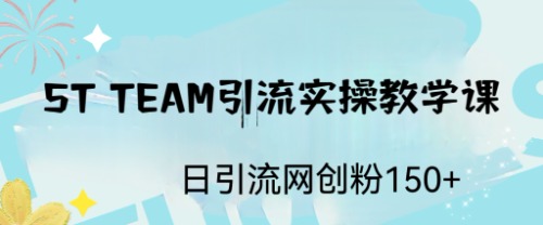 ST TEAM引流实操课，日引流网创粉100+-主题库网创