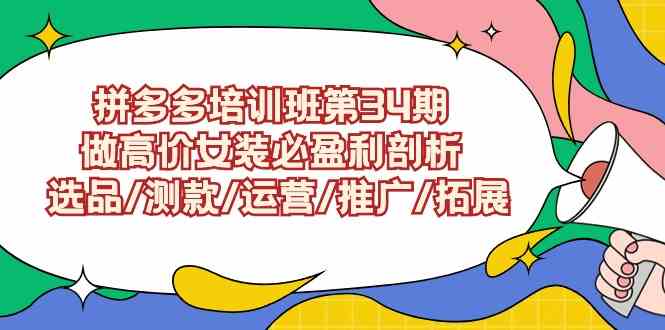 （9333期）拼多多培训班第34期：做高价女装必盈利剖析  选品/测款/运营/推广/拓展-主题库网创