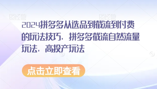 2024拼多多从选品到截流到付费的玩法技巧，拼多多截流自然流量玩法，高投产玩法-主题库网创