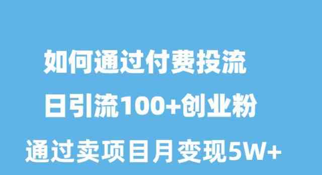 （10189期）如何通过付费投流日引流100+创业粉月变现5W+-主题库网创