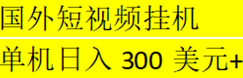 海外暴力短视频挂机全自动撸美金 单机日入300美元+【脚本免费+一对一指导】-主题库网创