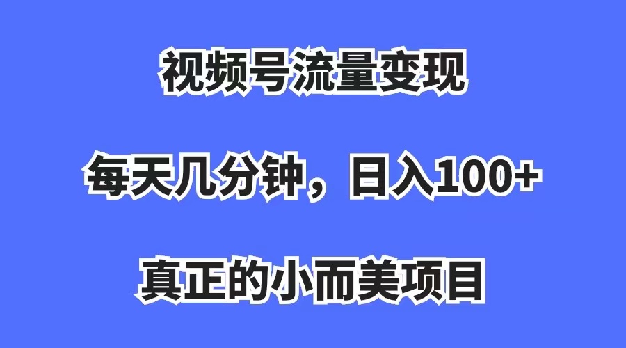 视频号流量变现，每天几分钟，收入100+，真正的小而美项目-主题库网创