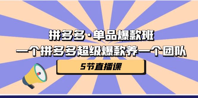 拼多多·单品爆款班，一个拼多多超级爆款养一个团队（5节直播课）-主题库网创