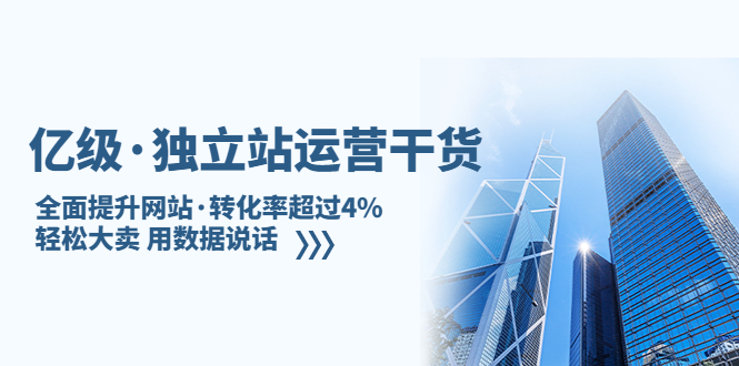 亿级·独立站运营干货：全面提升网站·转化率超过4%，轻松大卖 用数据说话-主题库网创