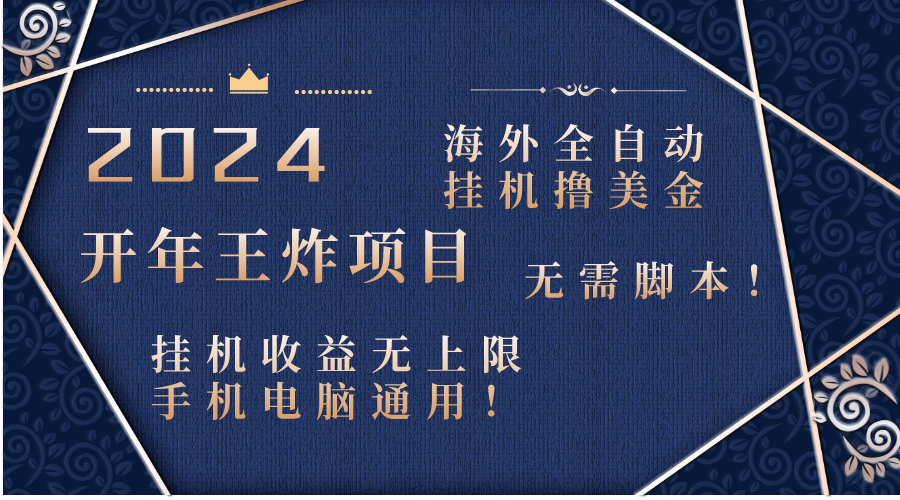 2024海外全自动挂机撸美金项目！手机电脑均可，无需脚本，收益无上限！-主题库网创