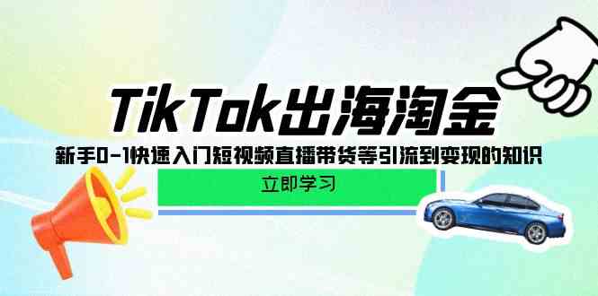 TikTok出海淘金，新手0-1快速入门短视频直播带货等引流到变现的知识-主题库网创