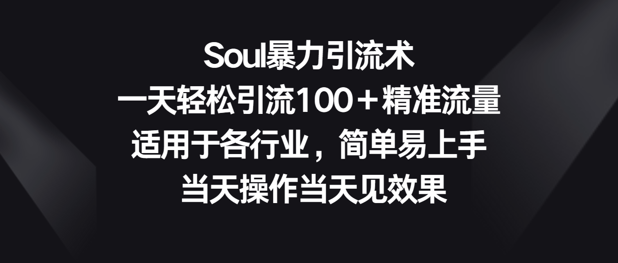 Soul暴力引流术，一天轻松引流100＋精准流量，适用于各行业，简单易上手！-主题库网创