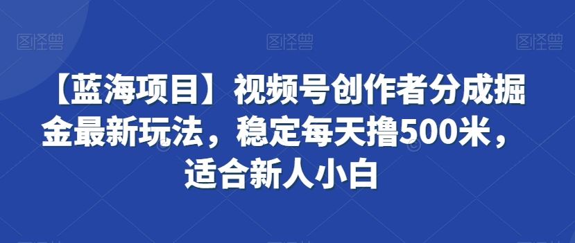 视频号创作者分成掘金最新玩法，稳定每天撸500米，适合新人小白-主题库网创