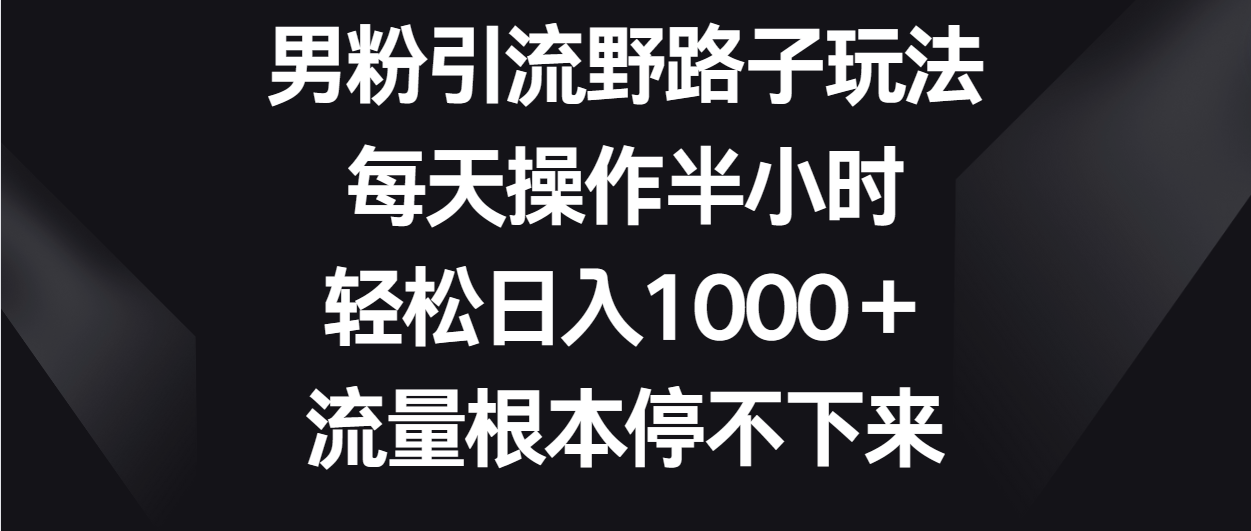 男粉引流野路子玩法，每天操作半小时轻松日入1000＋，流量根本停不下来-主题库网创