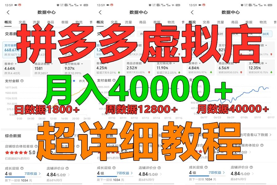 拼多多虚拟电商训练营月入40000+，全网最详细，你做你也行，暴利稳定长久-主题库网创