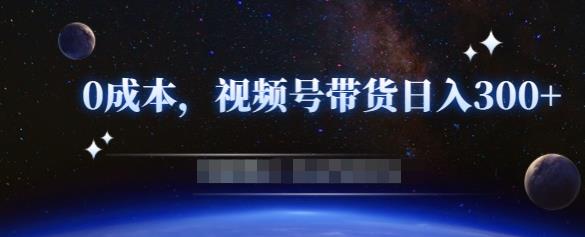 零基础视频号带货赚钱项目，0成本0门槛轻松日入300+【视频教程】￼-主题库网创