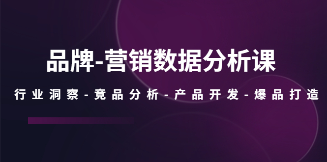 品牌-营销数据分析课，行业洞察-竞品分析-产品开发-爆品打造-主题库网创