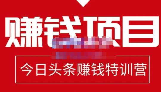 懒人领域·今日头条项目玩法，头条中视频项目，单号收益在50—500可批量￼-主题库网创