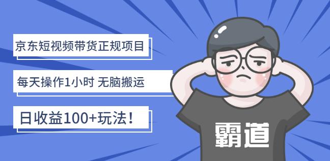 京东短视频带货正规项目：每天操作1小时无脑搬运日收益100+玩法！￼-主题库网创