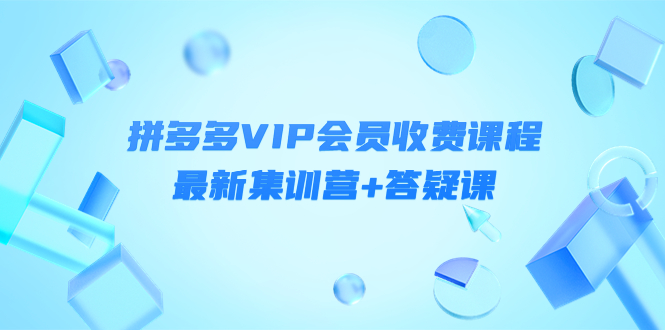 某社群·拼多多VIP会员收费课程，最新集训营+答疑课-价值3299元￼-主题库网创