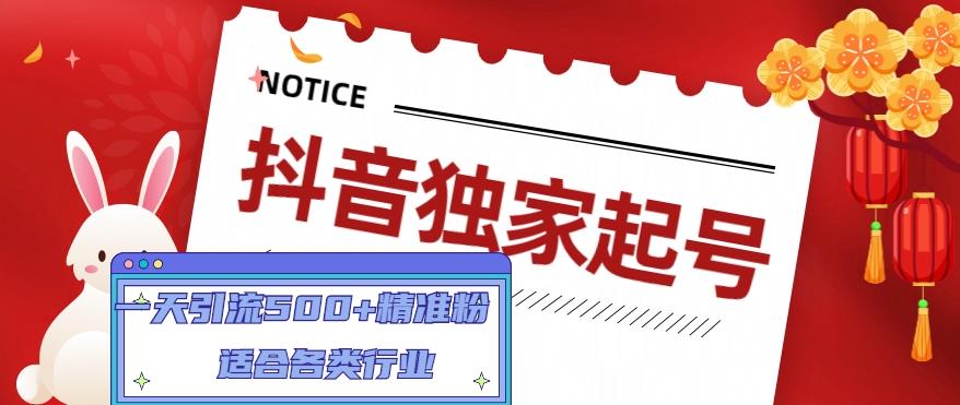 抖音独家起号，一天引流500+精准粉，适合各类行业（9节视频课）-主题库网创