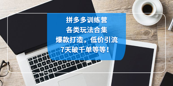 拼多多训练营：各玩法合集，爆款打造，低价引流，7天破千单等等！-主题库网创