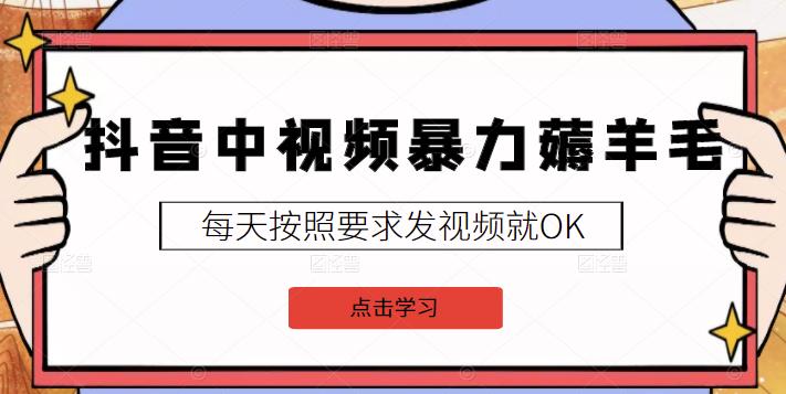 2022抖音中视频暴力薅羊毛白嫖项目：新号每天20块，老号几天几百块，可多号￼-主题库网创