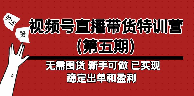 视频号直播带货特训营（第五期）无需囤货 新手可做 已实现稳定出单和盈利-主题库网创