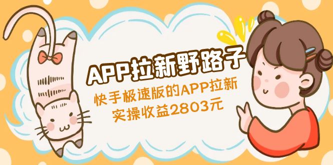 APP拉新野路子：快手极速版的APP拉新赚，实操收益2803元-主题库网创