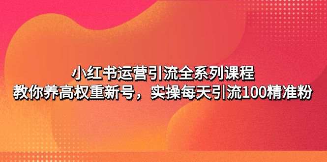 小红书运营引流全系列课程：教你养高权重新号，实操每天引流100精准粉-主题库网创