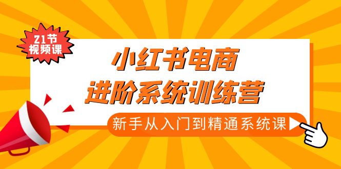 小红书电商进阶系统训练营：新手从入门到精通系统课（21节视频课）-主题库网创