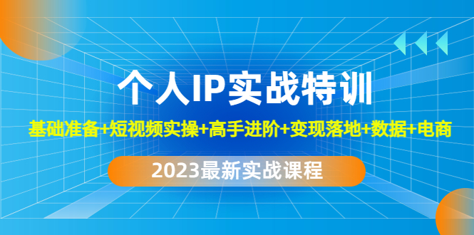 2023个人IP实战特训：基础准备+短视频实操+高手进阶+变现落地+数据+电商-主题库网创