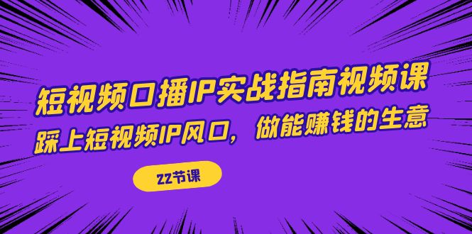 短视频口播IP实战指南视频课，踩上短视频IP风口，做能赚钱的生意（22节课）-主题库网创