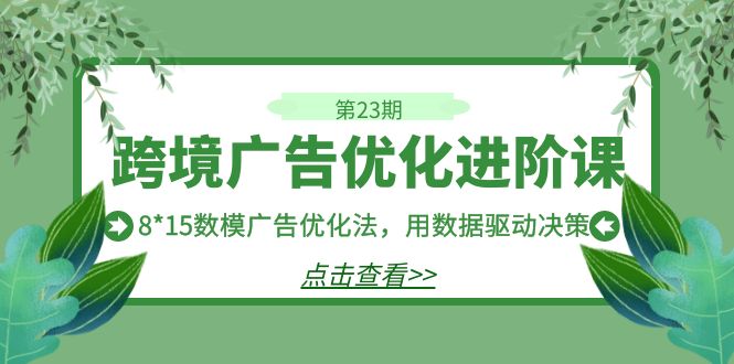 跨境广告·优化进阶课·第23期，8*15数模广告优化法，用数据驱动决策-主题库网创