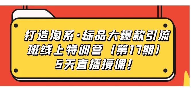 打造淘系·标品大爆款引流班线上特训营（第17期）5天直播授课！-主题库网创