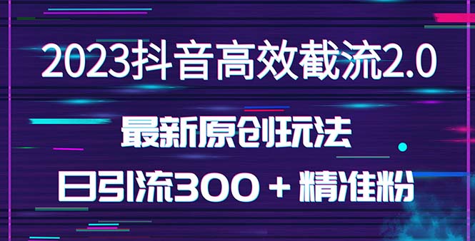 日引300＋创业粉，独家抖音高效截流2.0玩法（价值1280）-主题库网创