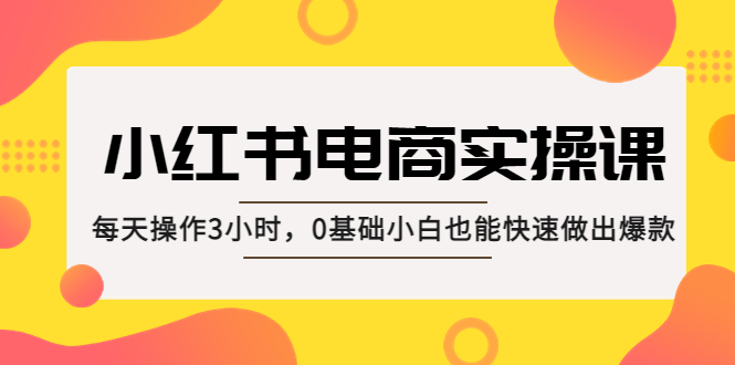 小红书·电商实操课：每天操作3小时，0基础小白也能快速做出爆款！-主题库网创