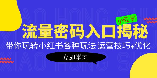 小红书流量密码入口揭秘：带你玩转小红书各种玩法 运营技巧+优化！-主题库网创