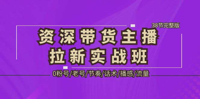 资深·带货主播拉新实战班，0粉号/老号/节奏/话术/播感/流量-38节完整版-主题库网创