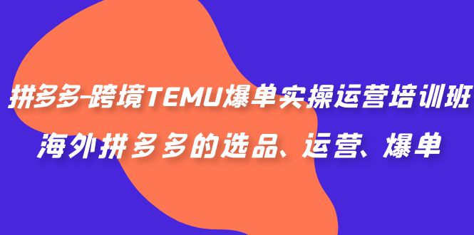 拼多多-跨境TEMU爆单实操运营培训班，海外拼多多的选品、运营、爆单-主题库网创