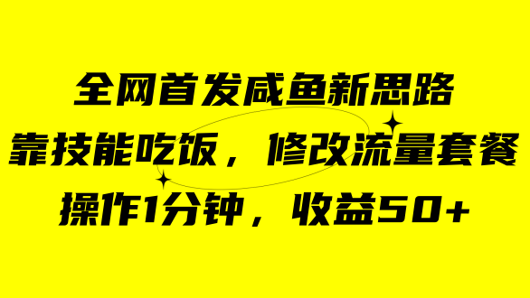 咸鱼冷门新玩法，靠“技能吃饭”，修改流量套餐，操作1分钟，收益50+-主题库网创