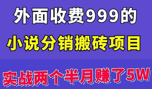 外面收费999的小说分销搬砖项目：实战两个半月赚了5W块，操作简单！￼-主题库网创