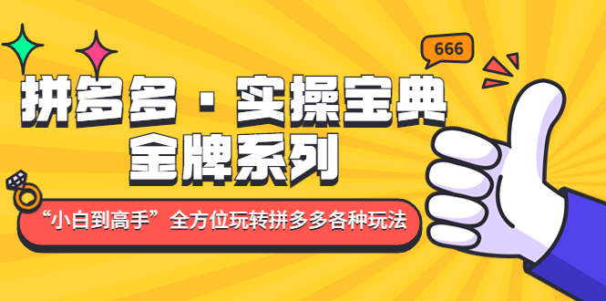 拼多多·实操宝典：金牌系列“小白到高手”带你全方位玩转拼多多各种玩法-主题库网创