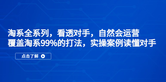 淘系全系列，看透对手，自然会运营，覆盖淘系99%·打法，实操案例读懂对手-主题库网创