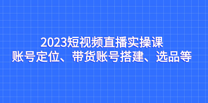 2023短视频直播实操课，账号定位、带货账号搭建、选品等-主题库网创