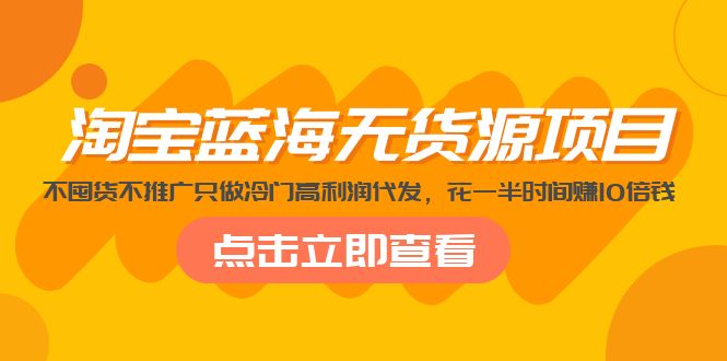 淘宝蓝海无货源项目，不囤货不推广只做冷门高利润代发，花一半时间赚10倍钱-主题库网创