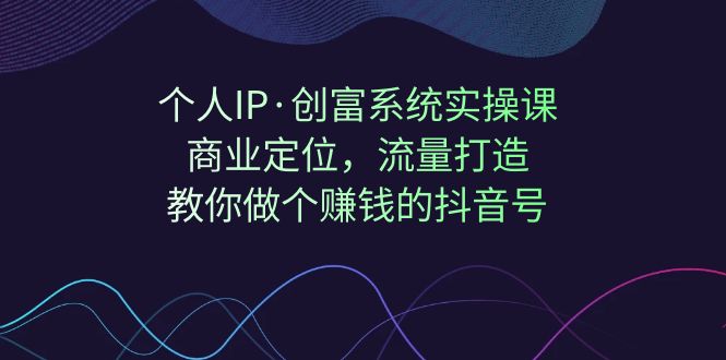 个人IP·创富系统实操课：商业定位，流量打造，教你做个赚钱的抖音号-主题库网创