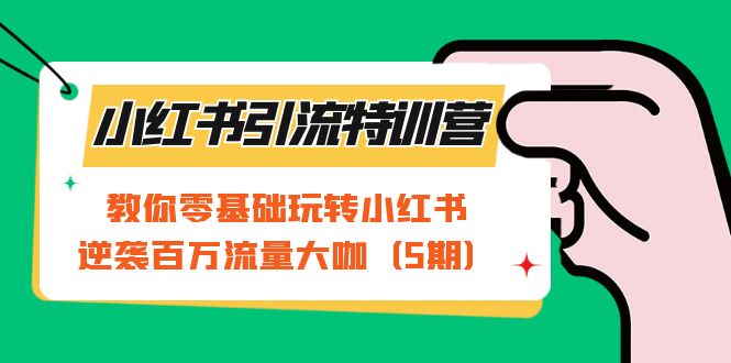 小红书引流特训营-第5期：教你零基础玩转小红书，逆袭百万流量大咖-主题库网创