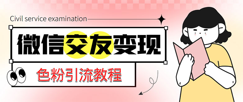 微信交友变现项目，吸引全网LSP男粉精准变现，小白也能轻松上手，日入500+-主题库网创