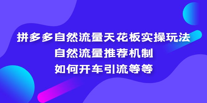 拼多多自然流量天花板实操玩法：自然流量推荐机制，如何开车引流等等-主题库网创