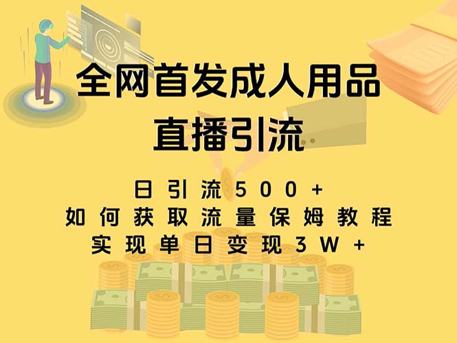 最新全网独创首发，成人用品直播引流获客暴力玩法，单日变现3w保姆级教程-主题库网创