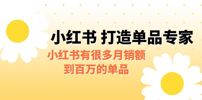 某公众号付费文章《小红书 打造单品专家》小红书有很多月销额到百万的单品-主题库网创