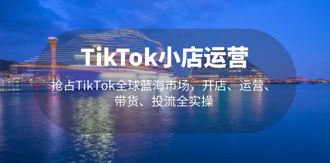 TikTok小店运营 抢占TikTok全球蓝海市场，开店、运营、带货、投流全实操-主题库网创