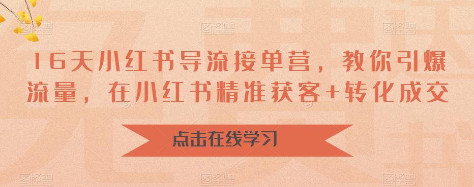 16天-小红书 导流接单营，教你引爆流量，在小红书精准获客+转化成交-主题库网创